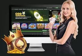 Integrasi permainan kartu dengan dashboard sportsbook Liga 1 dan Champions League di jangkar55